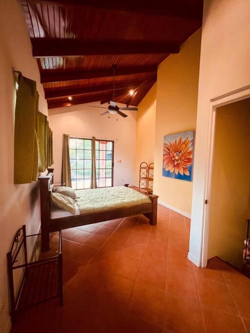 Casa Papaya