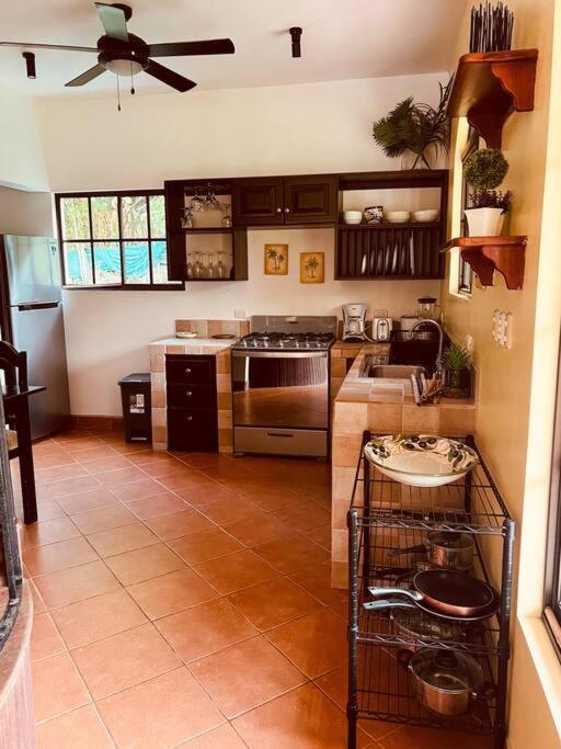 Casa Papaya