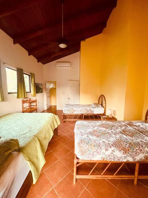Casa Papaya