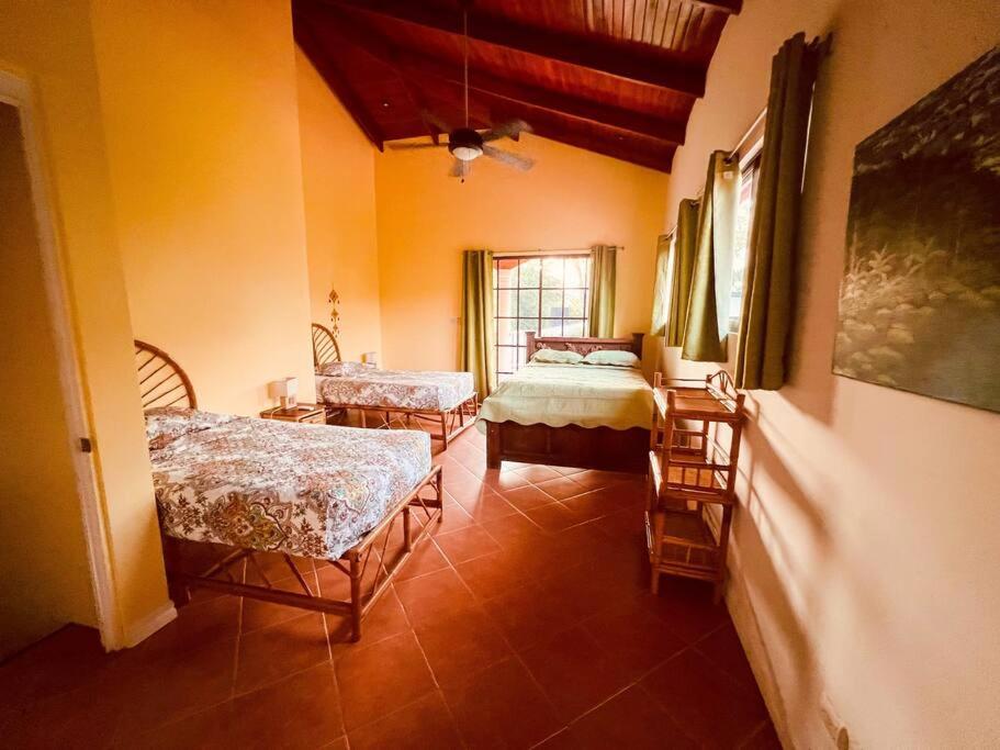 Casa Papaya