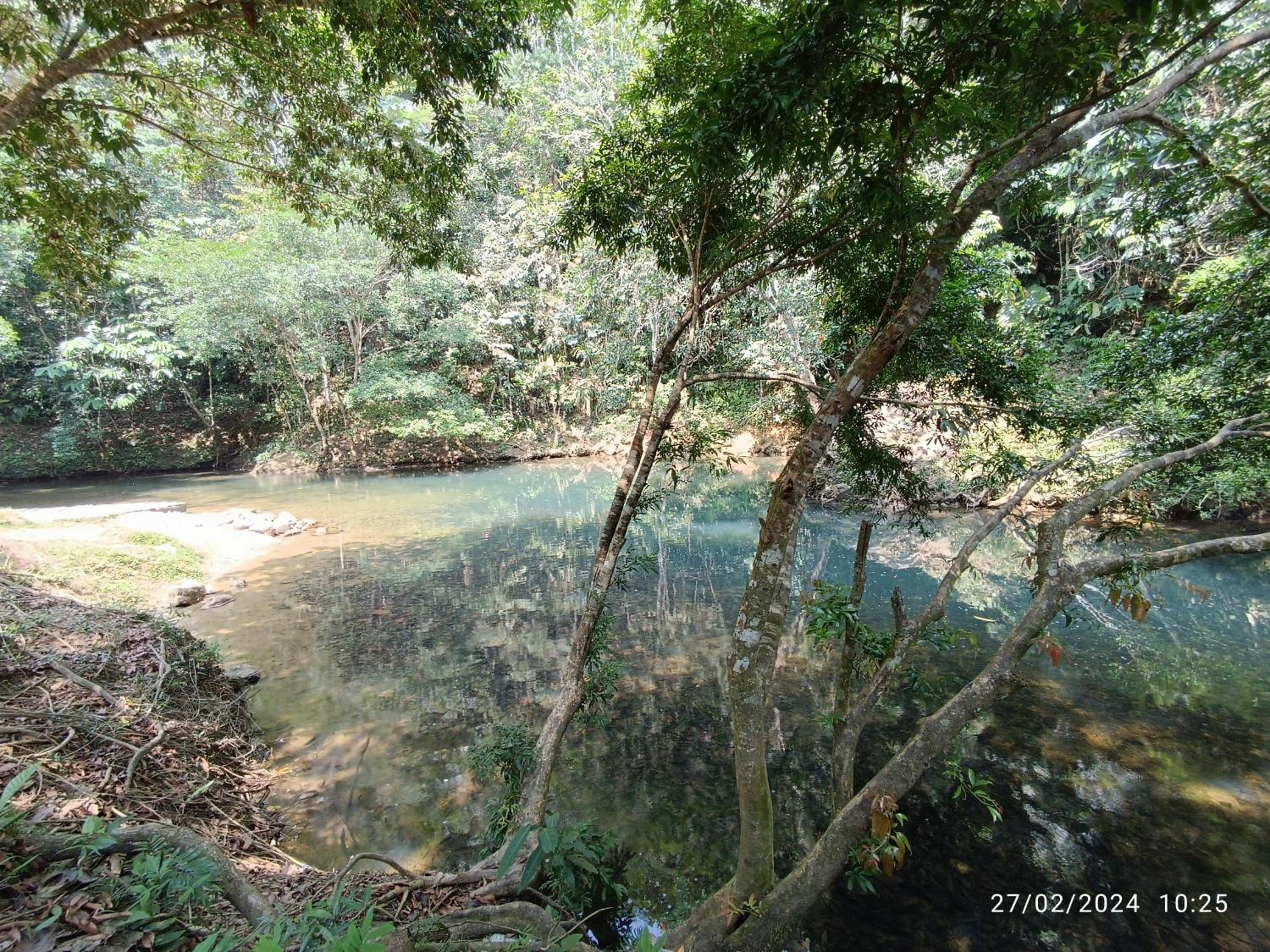 La ceiba casa campestre