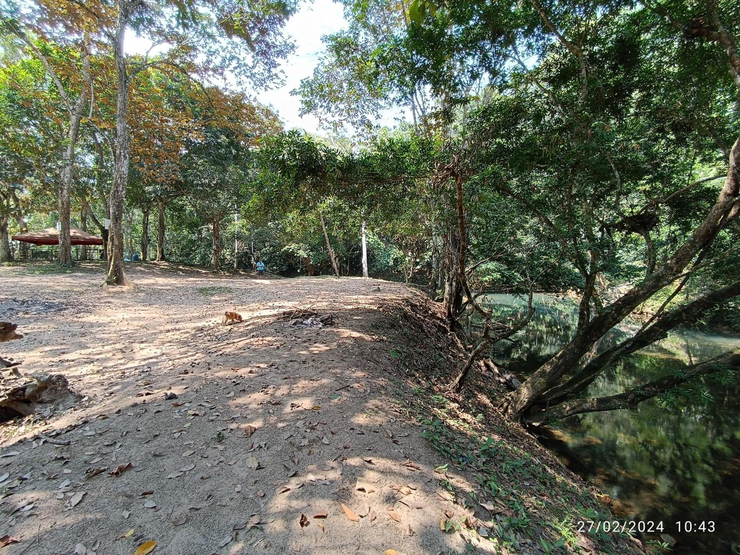 La ceiba casa campestre