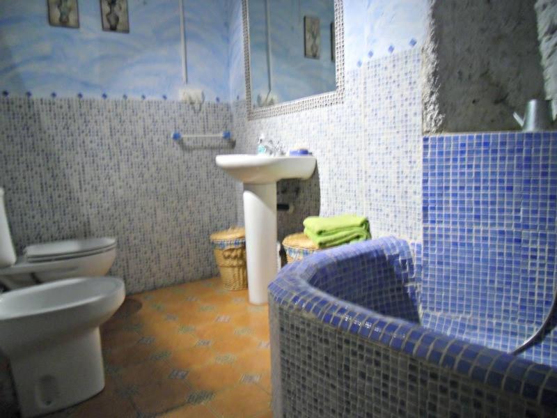 Alojamiento rural casa cueva El Granado