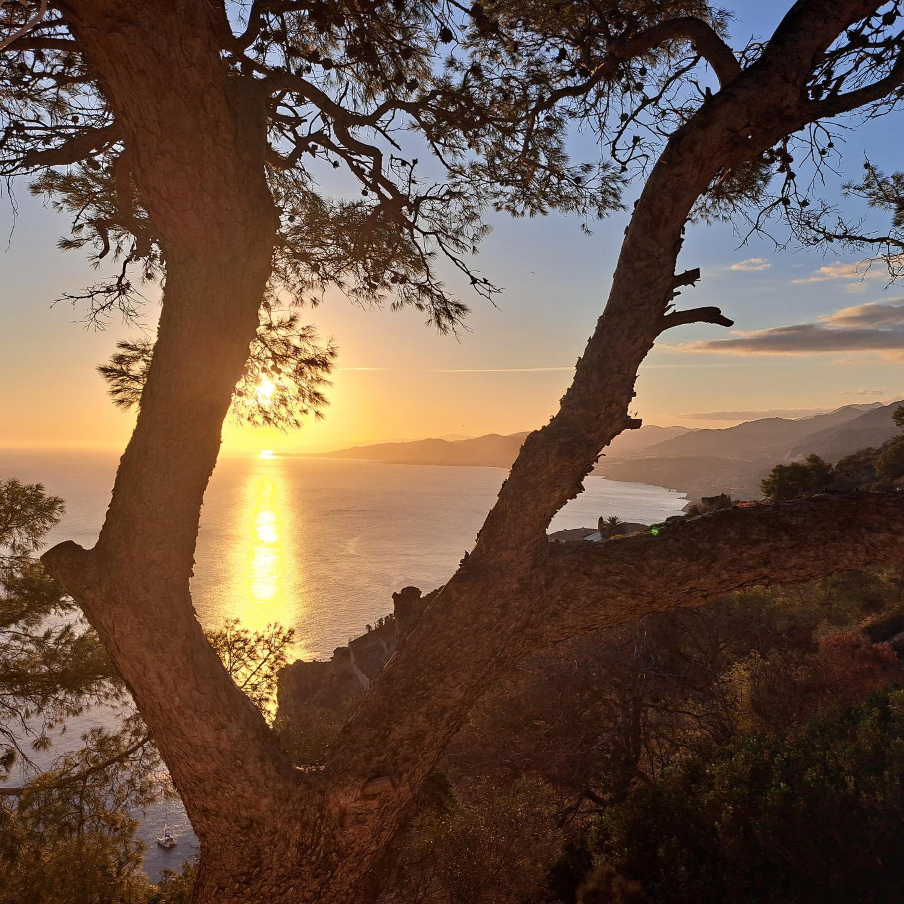Al Monacar vistas al mar, parking, aire acondicionado y wifi view 5