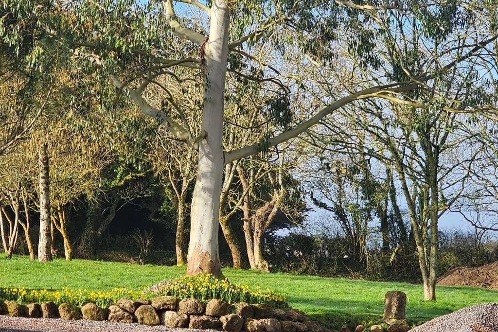 Woodleigh family Holiday Home