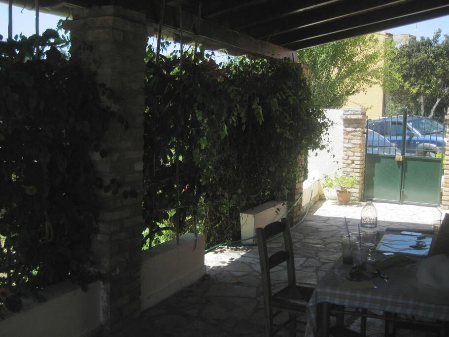 Photo 24