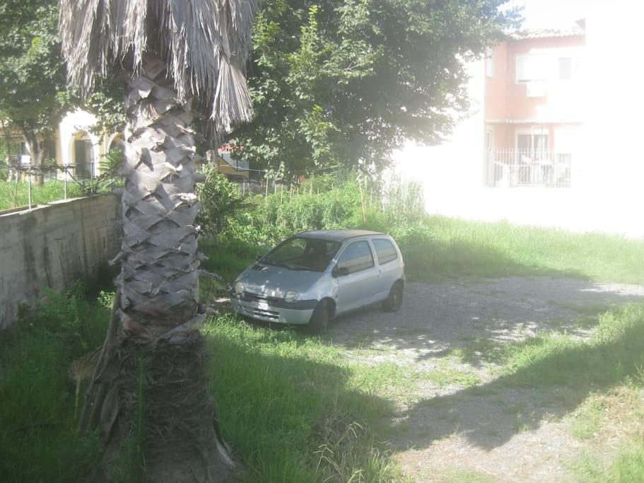 Photo 38
