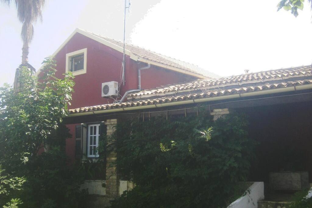 Photo 47