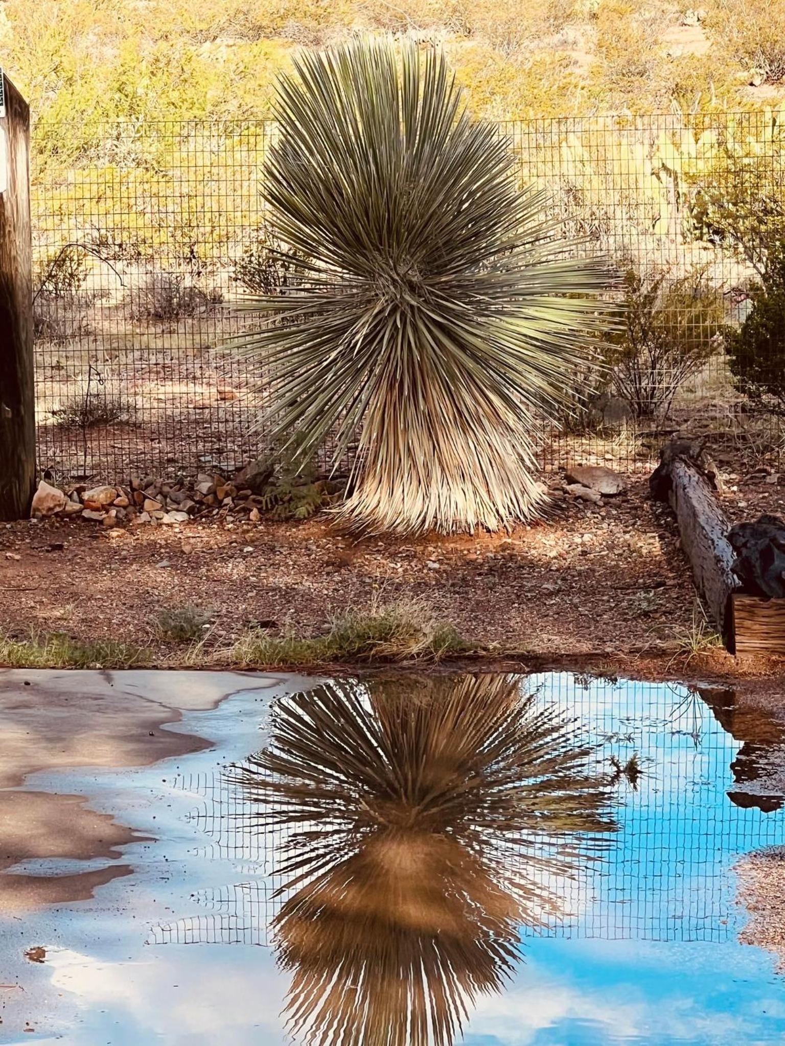 Hole in the Wall Getaway - USA Mexico Border Bed and Breakfast view 4