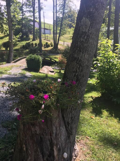 Fairytale: Hot Tub & Trout Stream & Petting Zoo? view 5