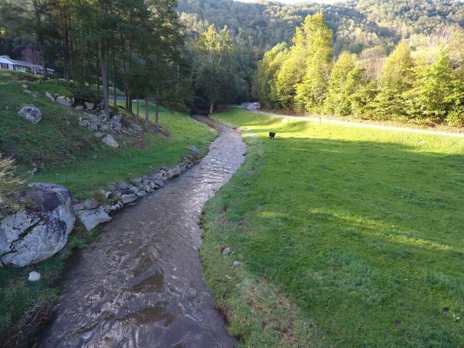 Photo 51