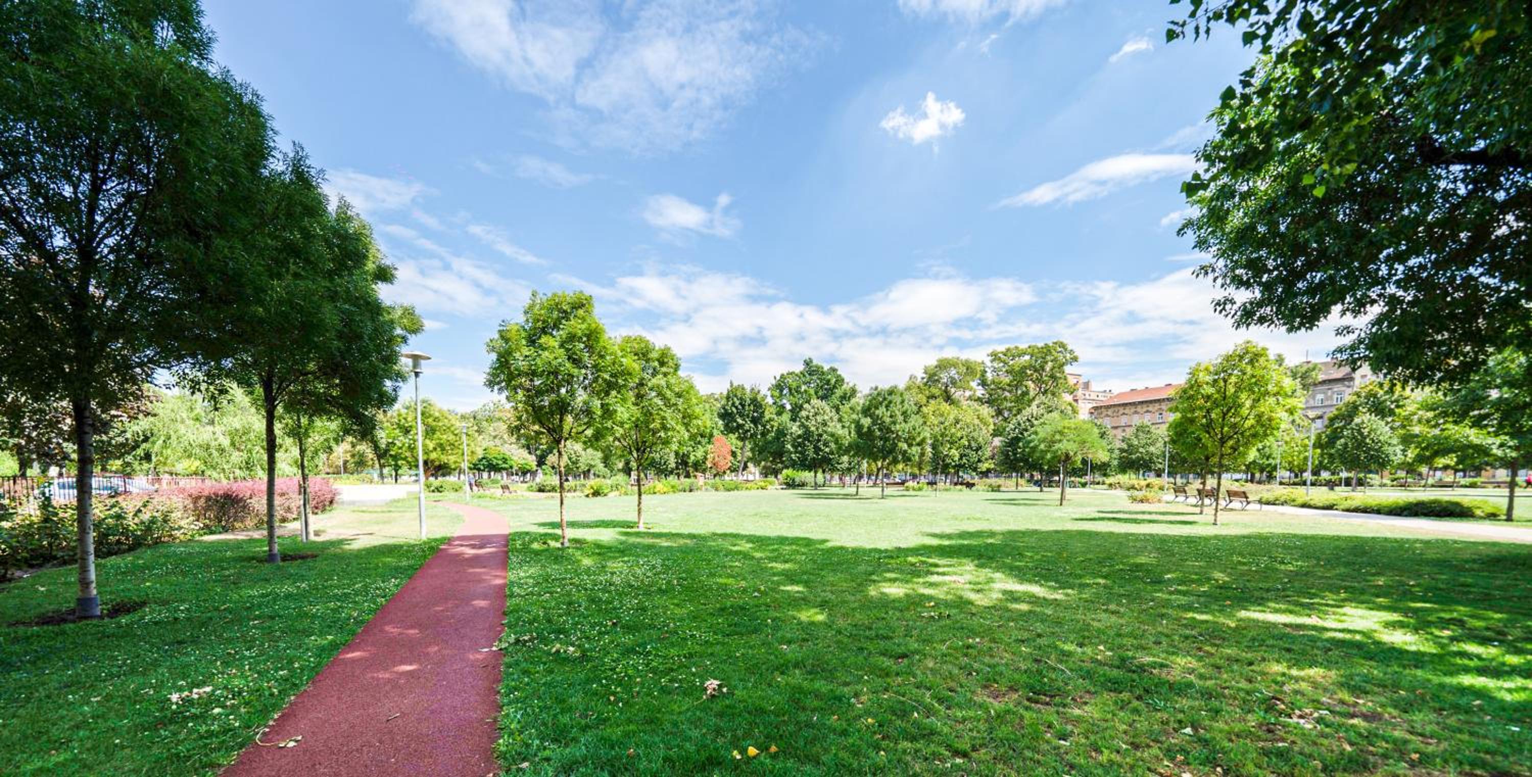 Secret Garden Apartment - Free Parking view 4