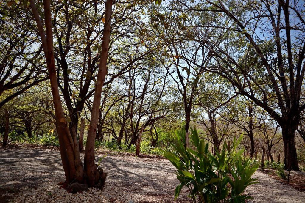 Highlight Studio Apartment in Playa Negra