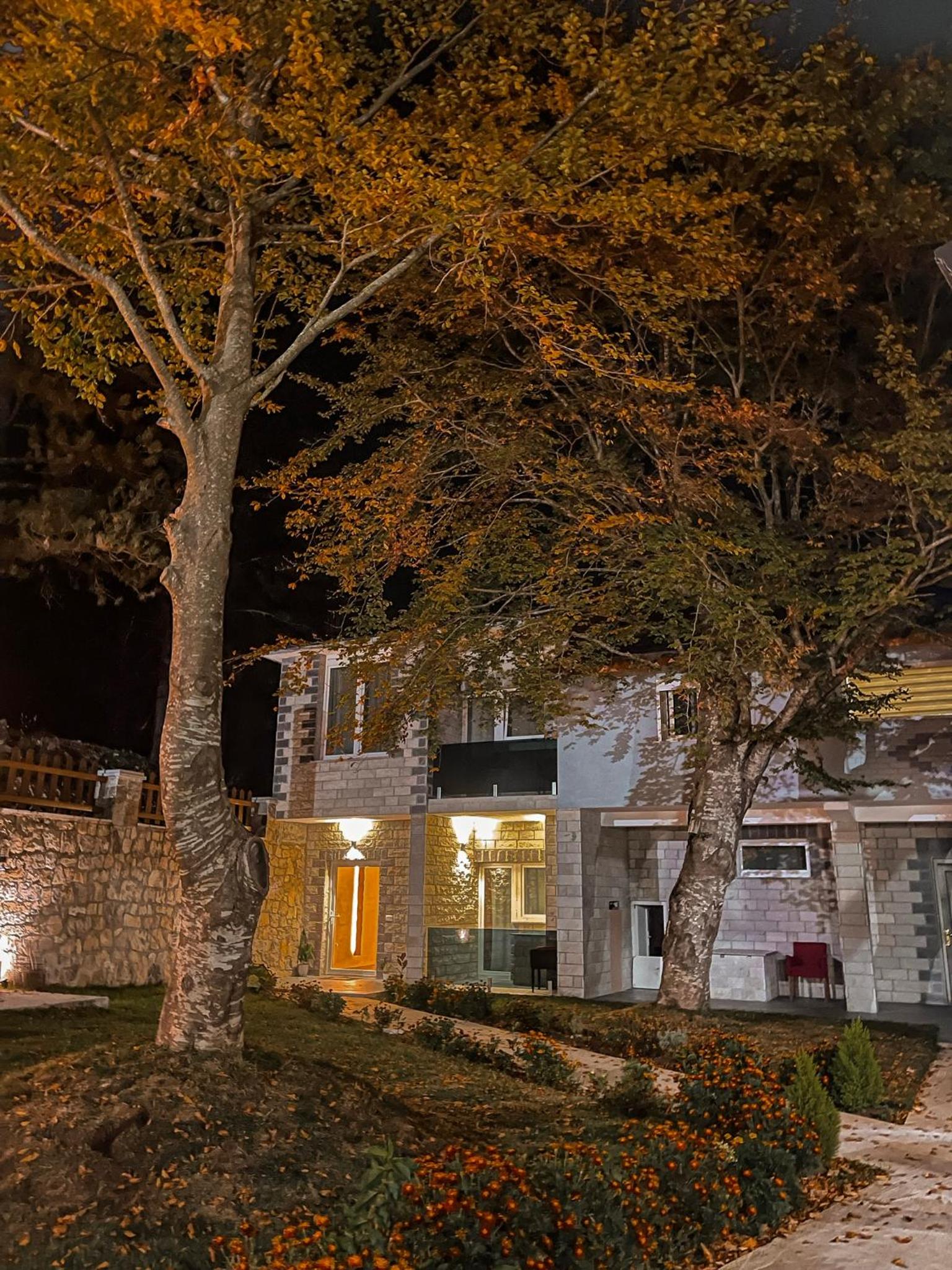 Hotel Vila Alpini - Image 1