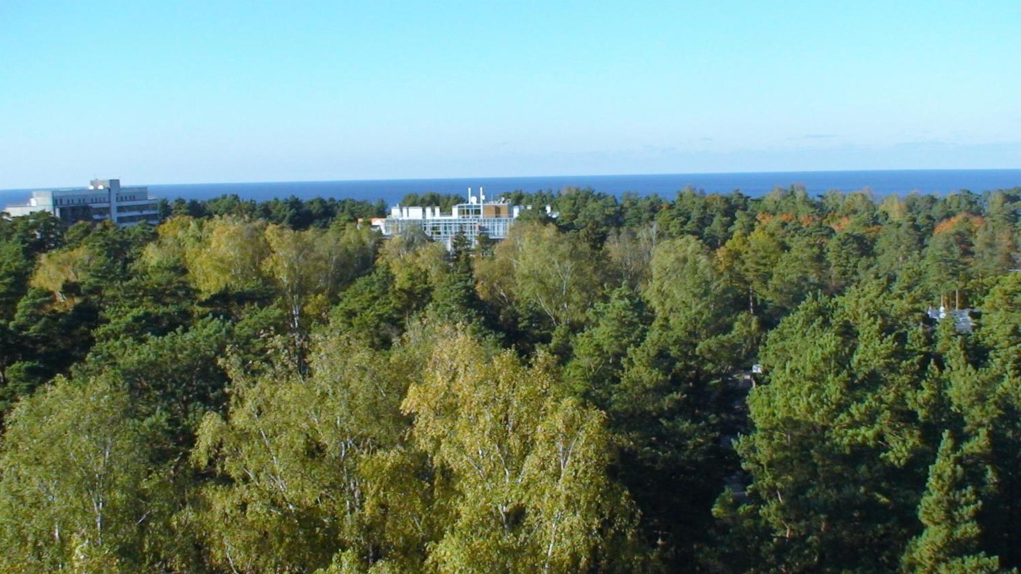 Hotel Apartament Dzintari - Image 1