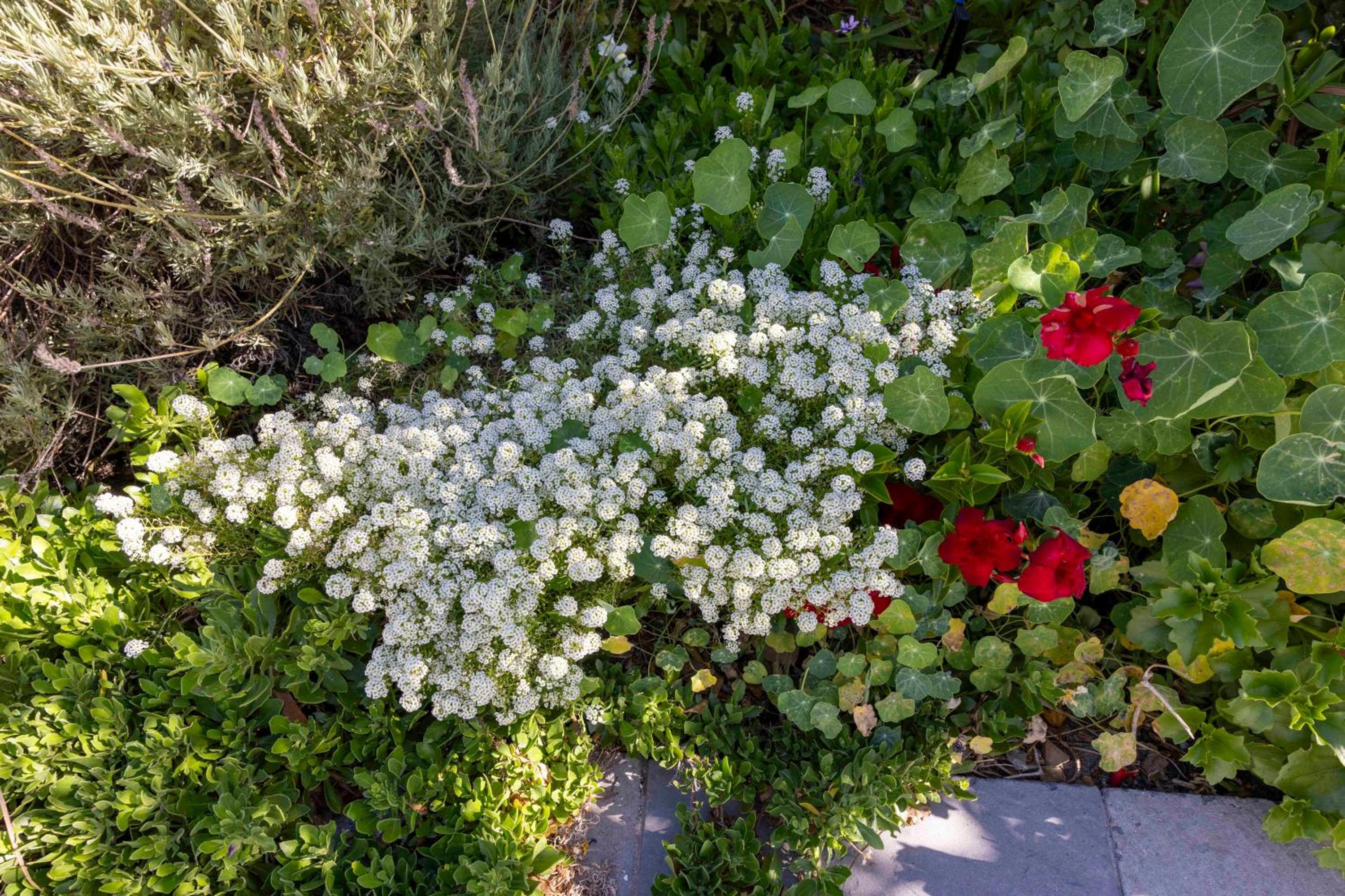 Photo 47