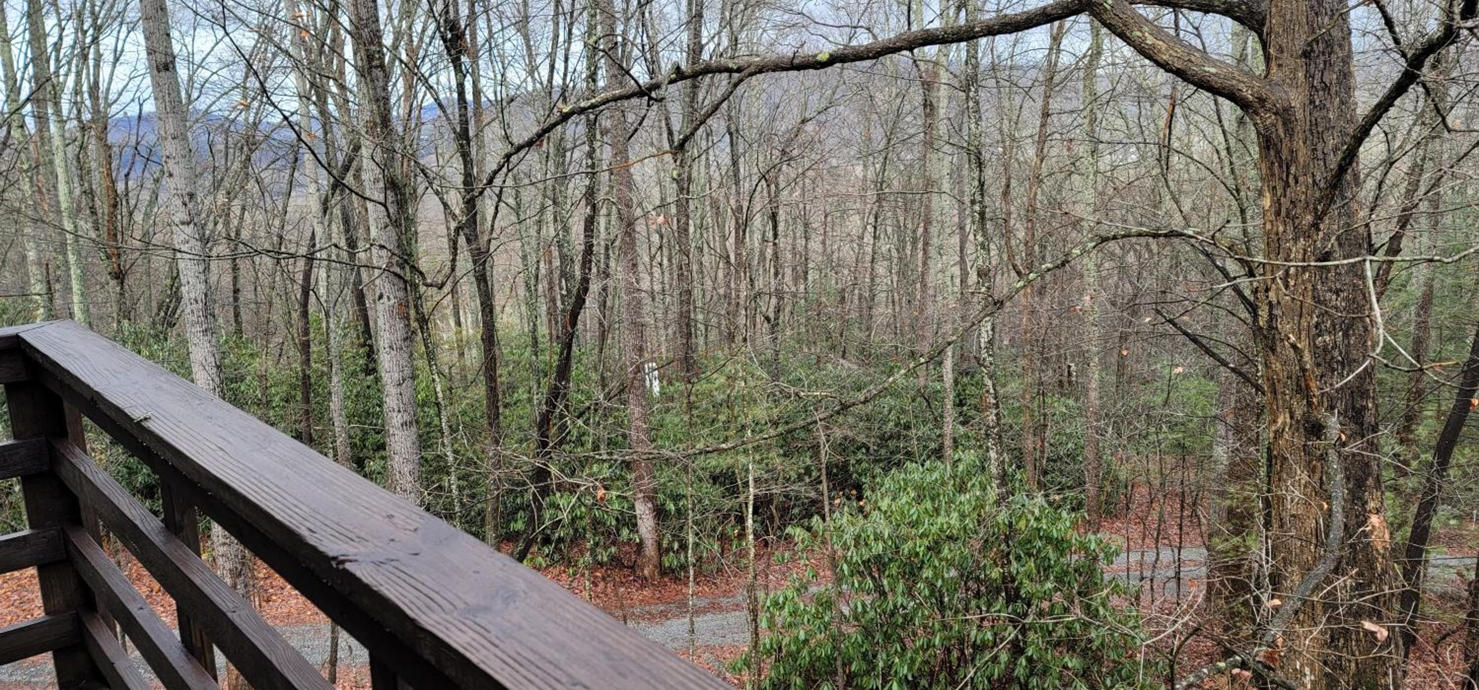 Fletcher NC Getaway view 4