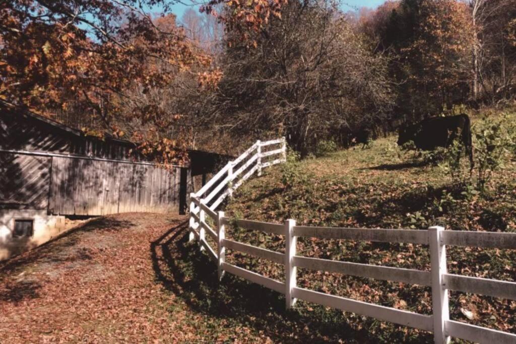 Full Access to our Farm & Petting ZOO + Hot Tub! view 5