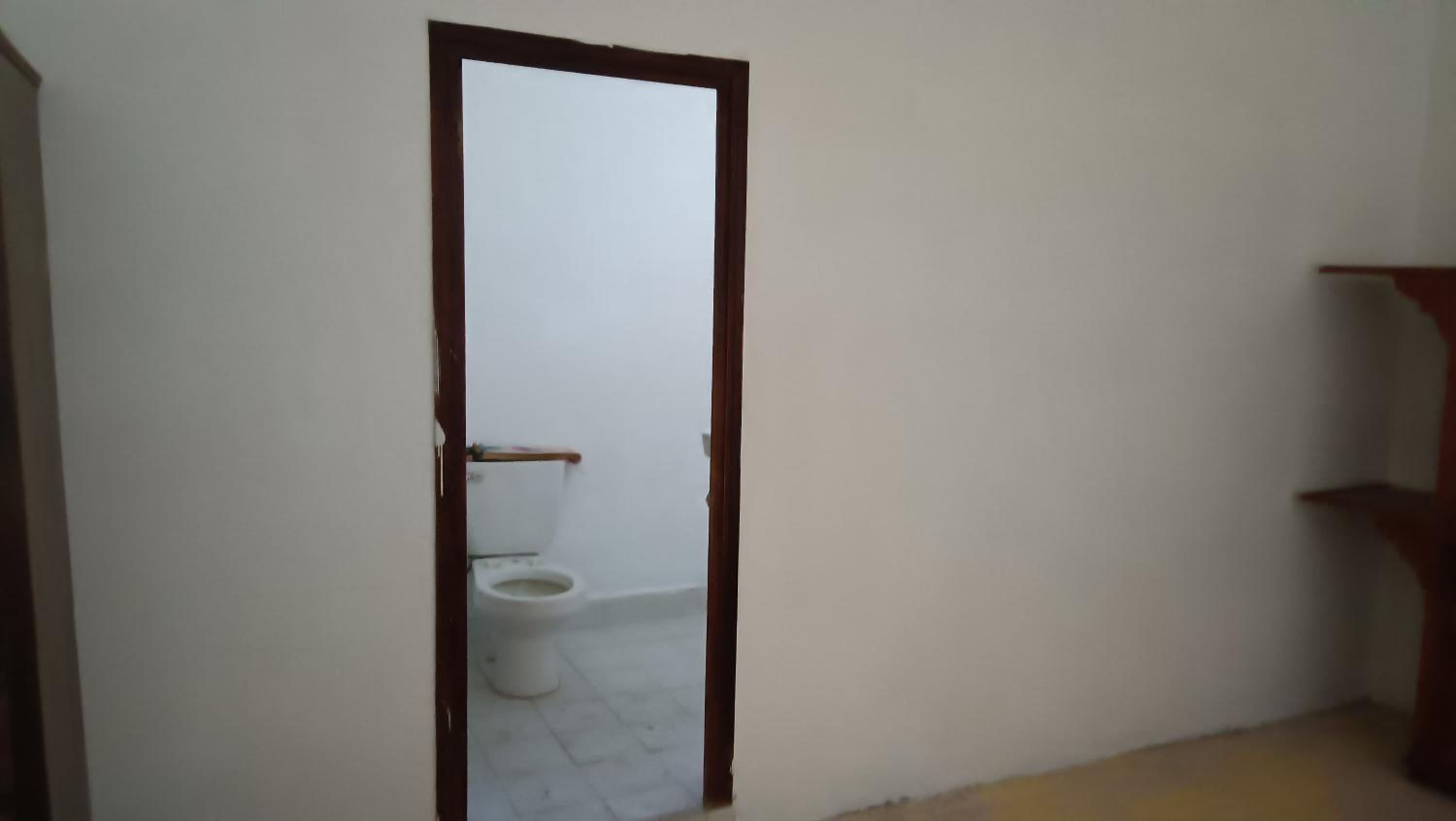 Casa la jungla