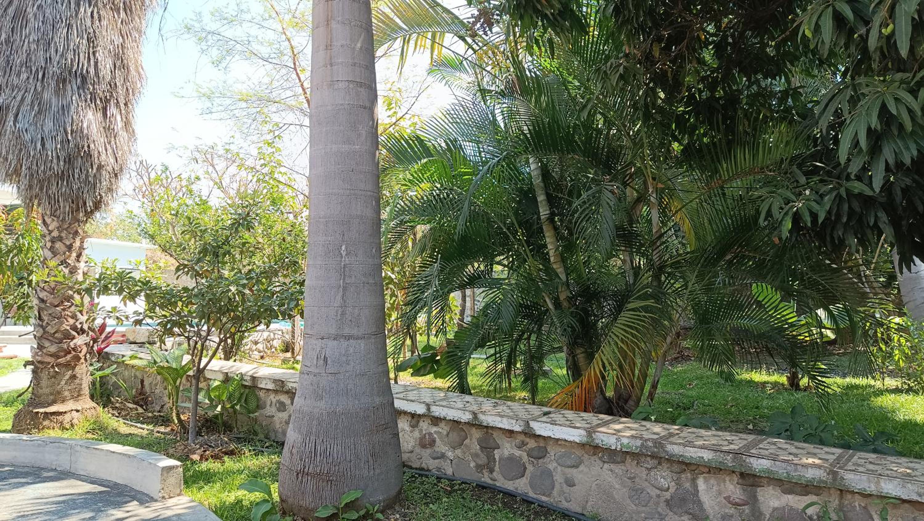 Casa la jungla