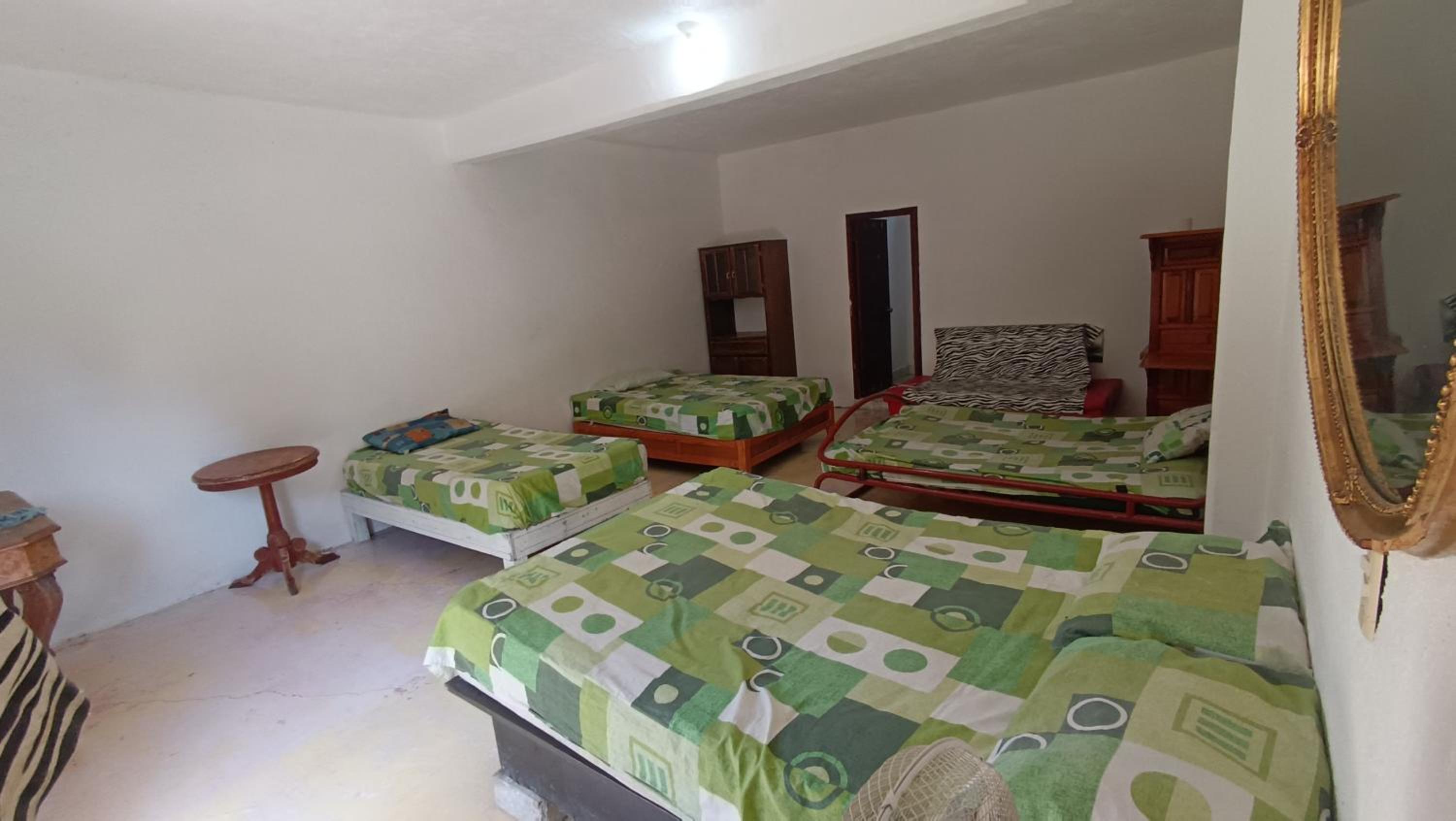 Casa la jungla