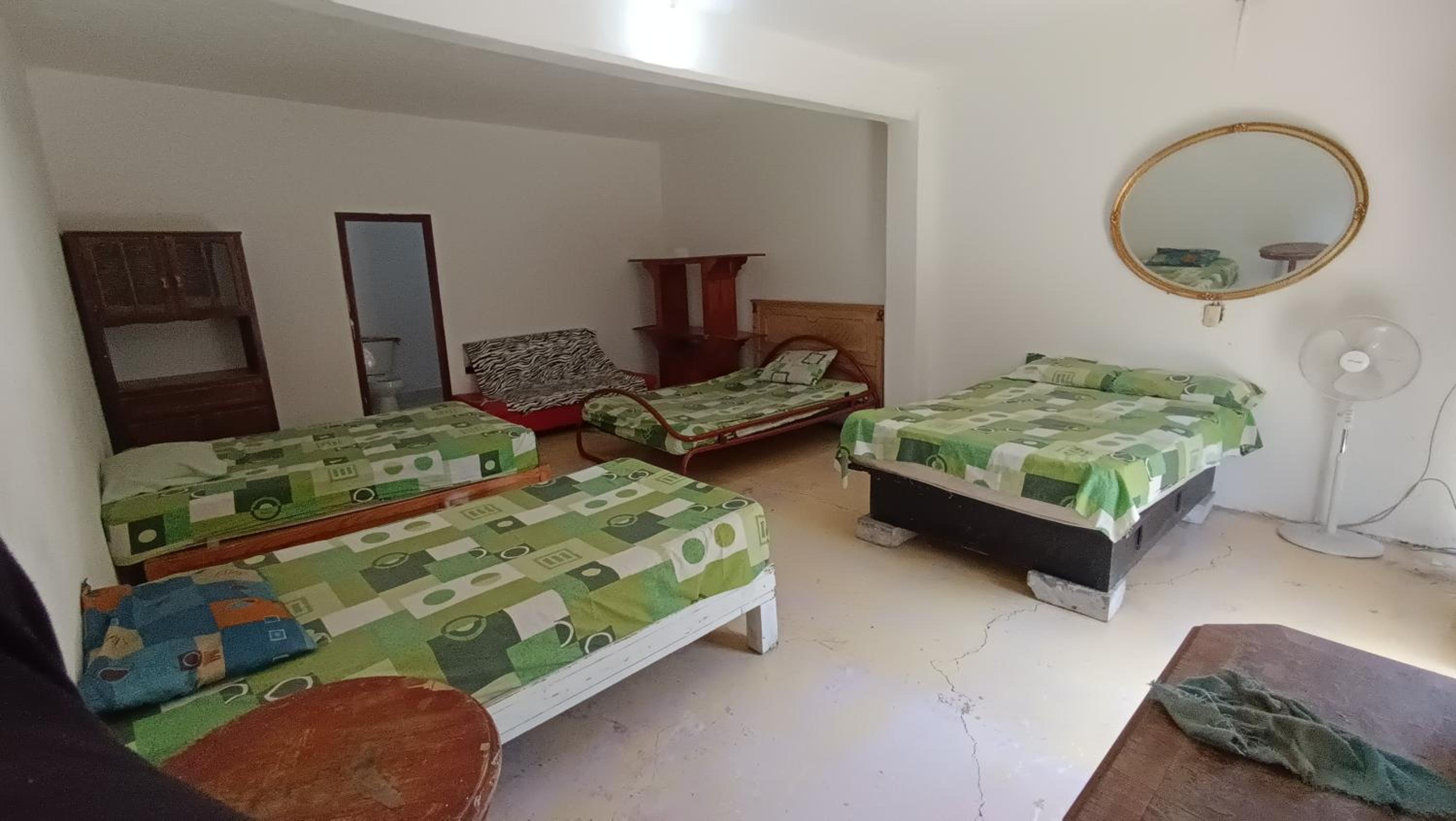Casa la jungla