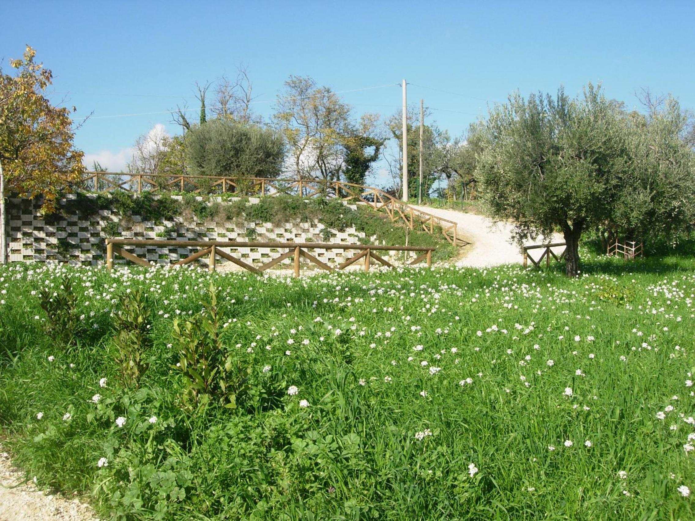 Angelucci Agriturismo con Camere e Agri Camping