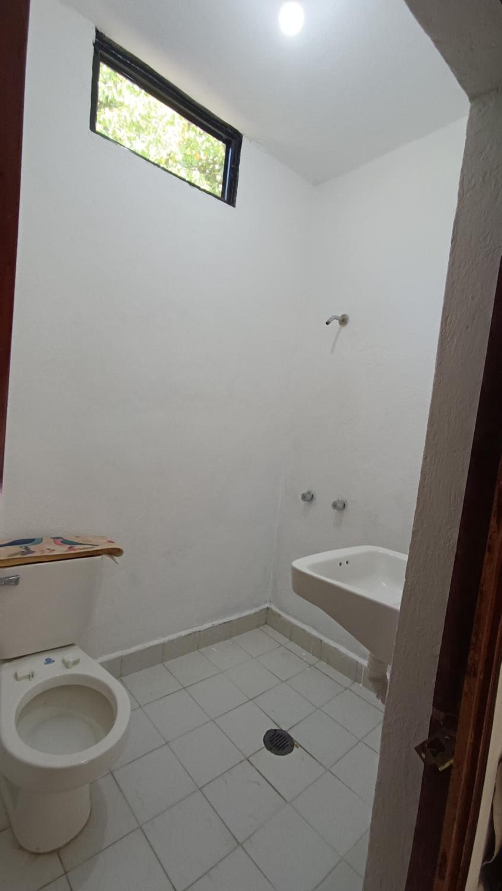 Casa la jungla, photo 10