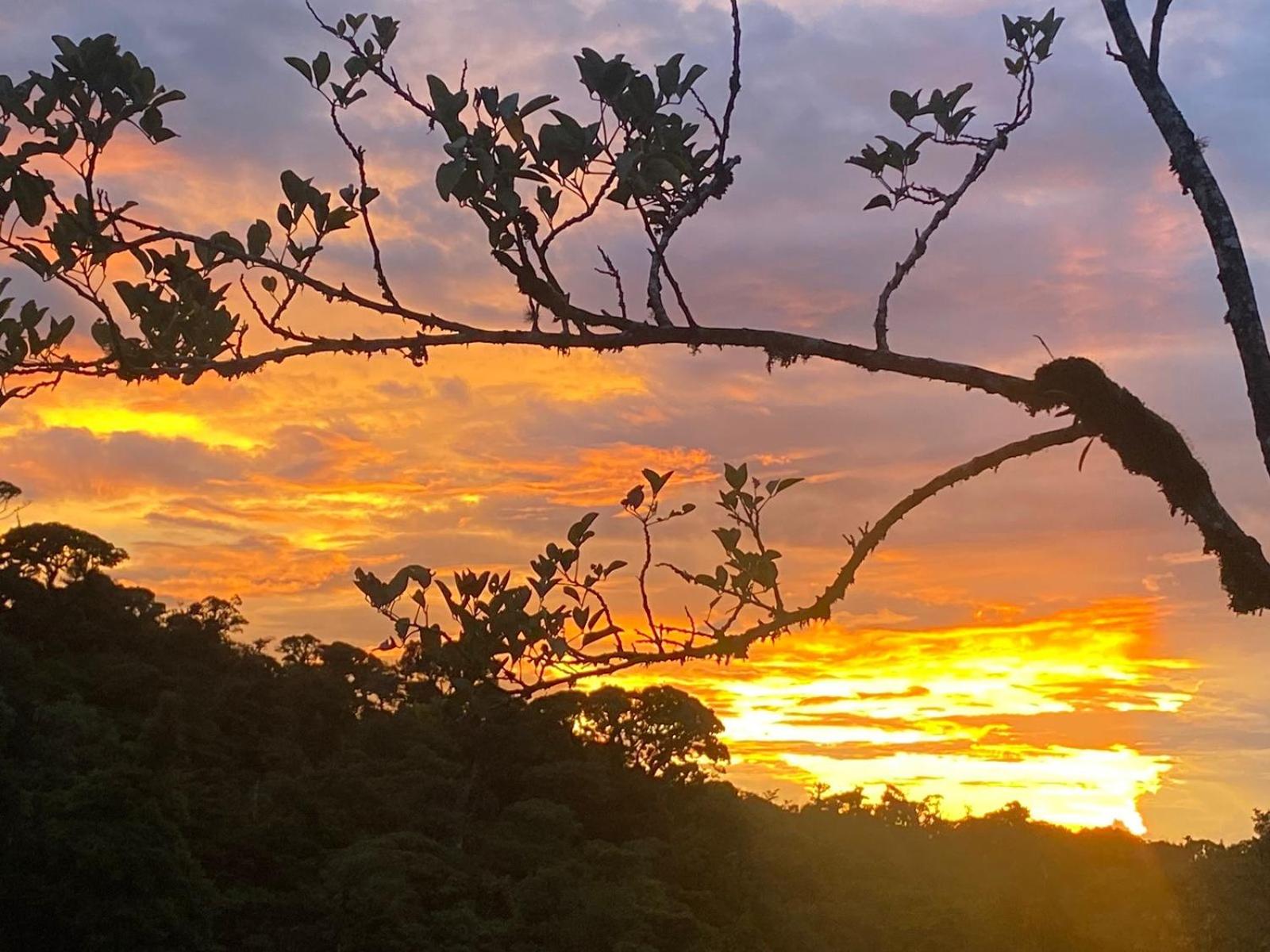 Casa Colibrí, Monteverde