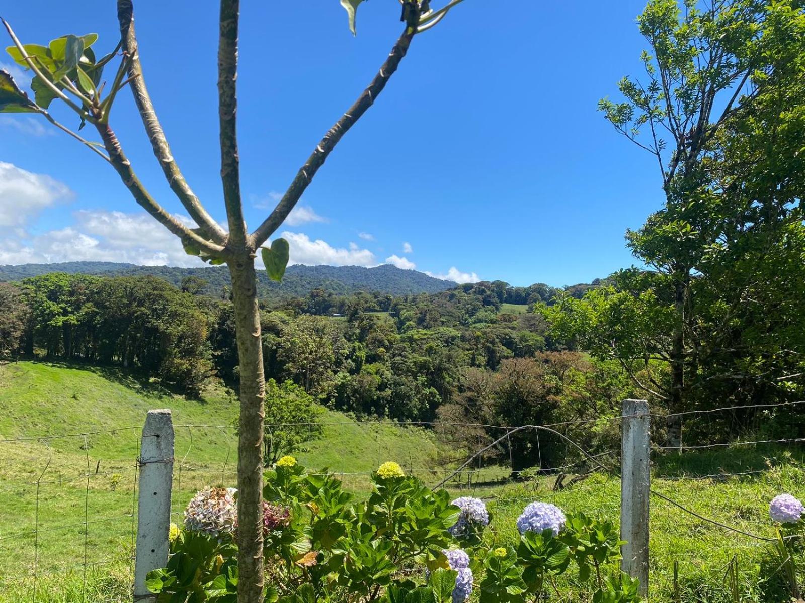 Casa Colibrí, Monteverde