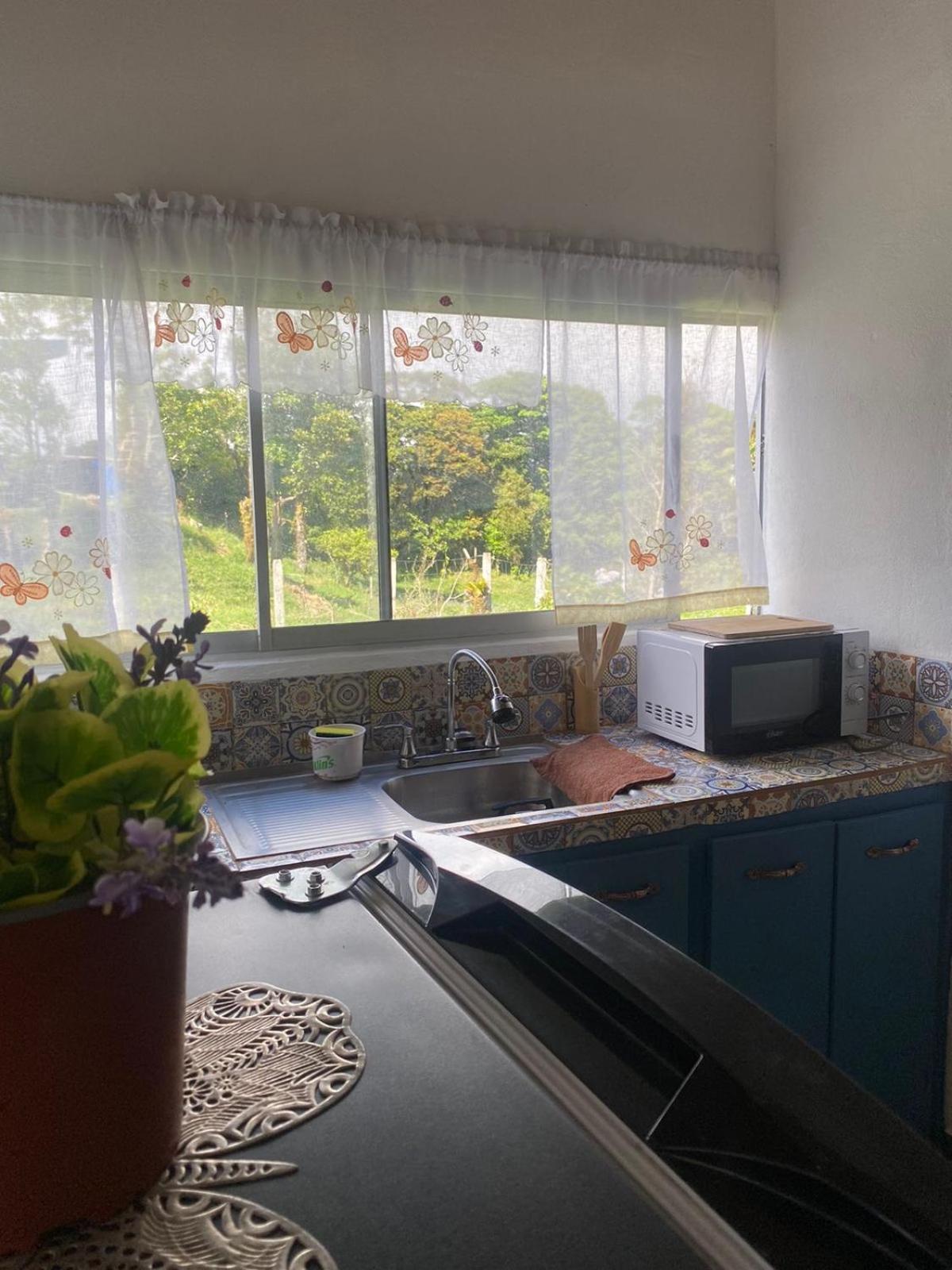 Casa Colibrí, Monteverde