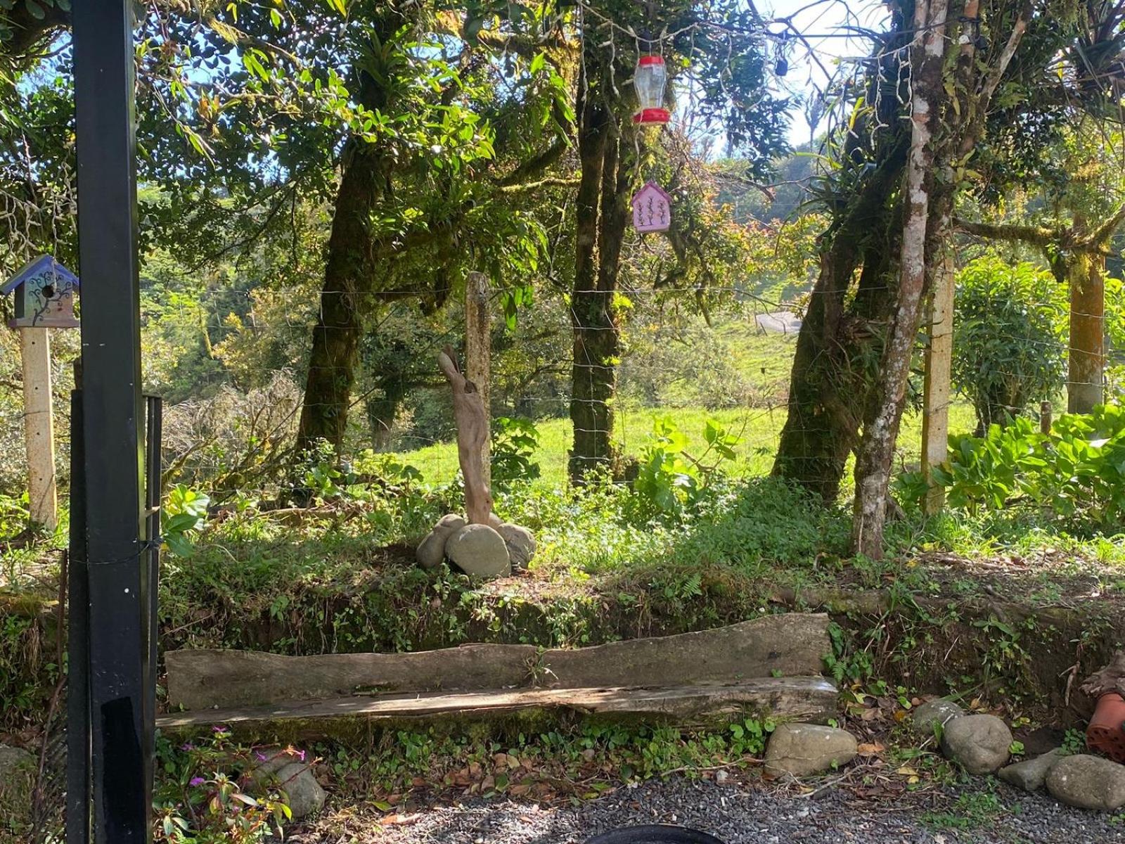 Casa Colibrí, Monteverde