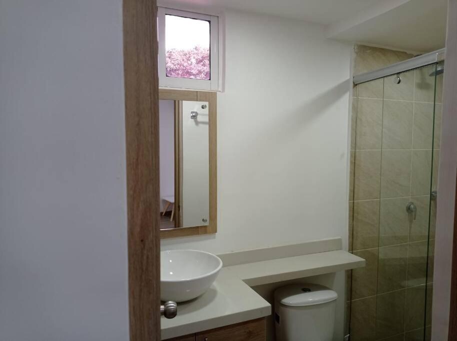 Apartamentos Dreams