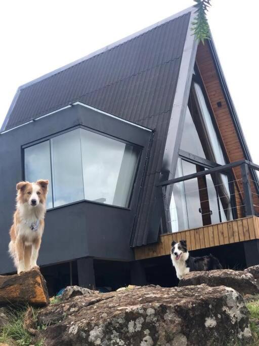 Winter Valley Cabins
