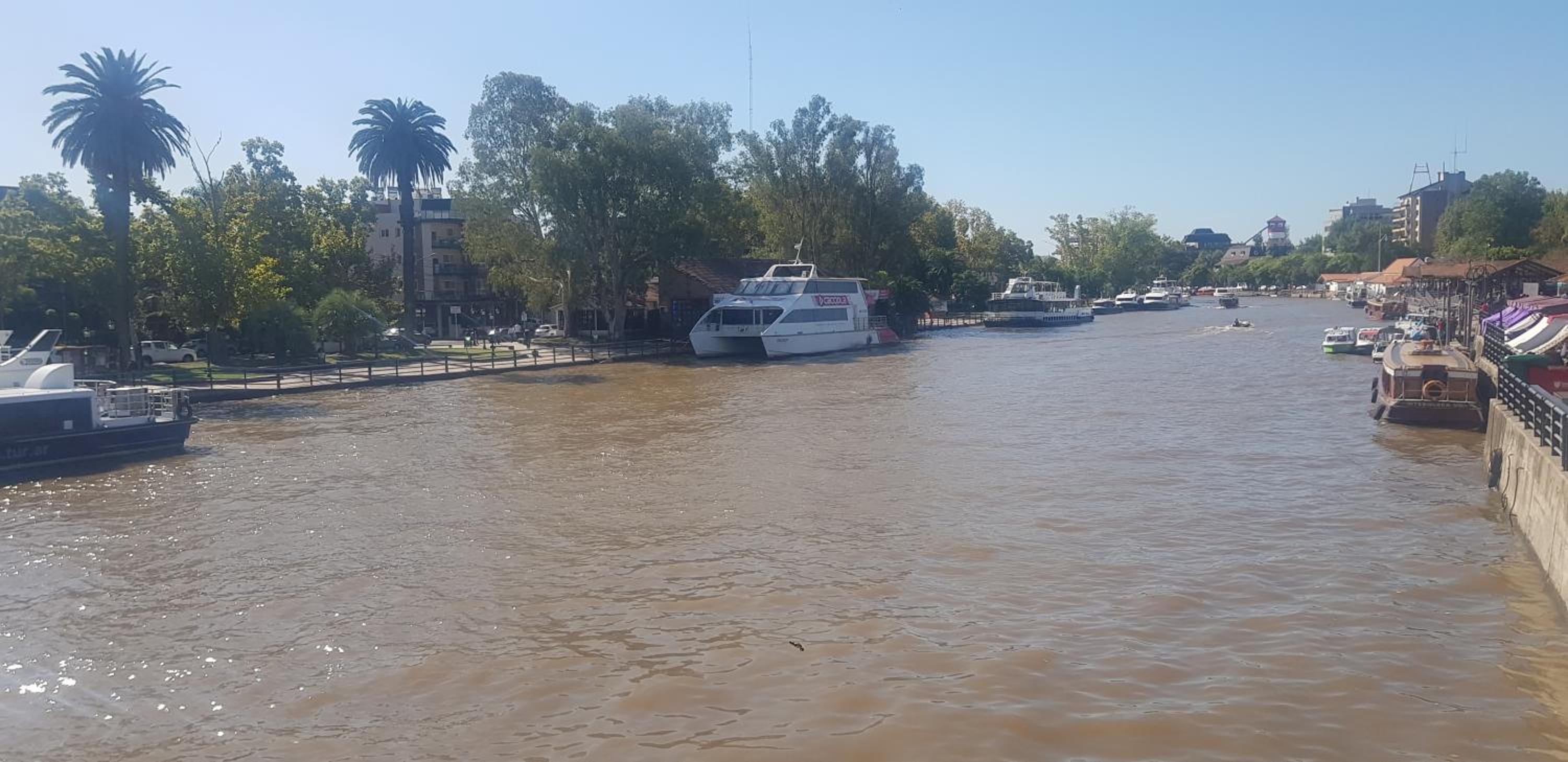 Tigre Studio Apartment