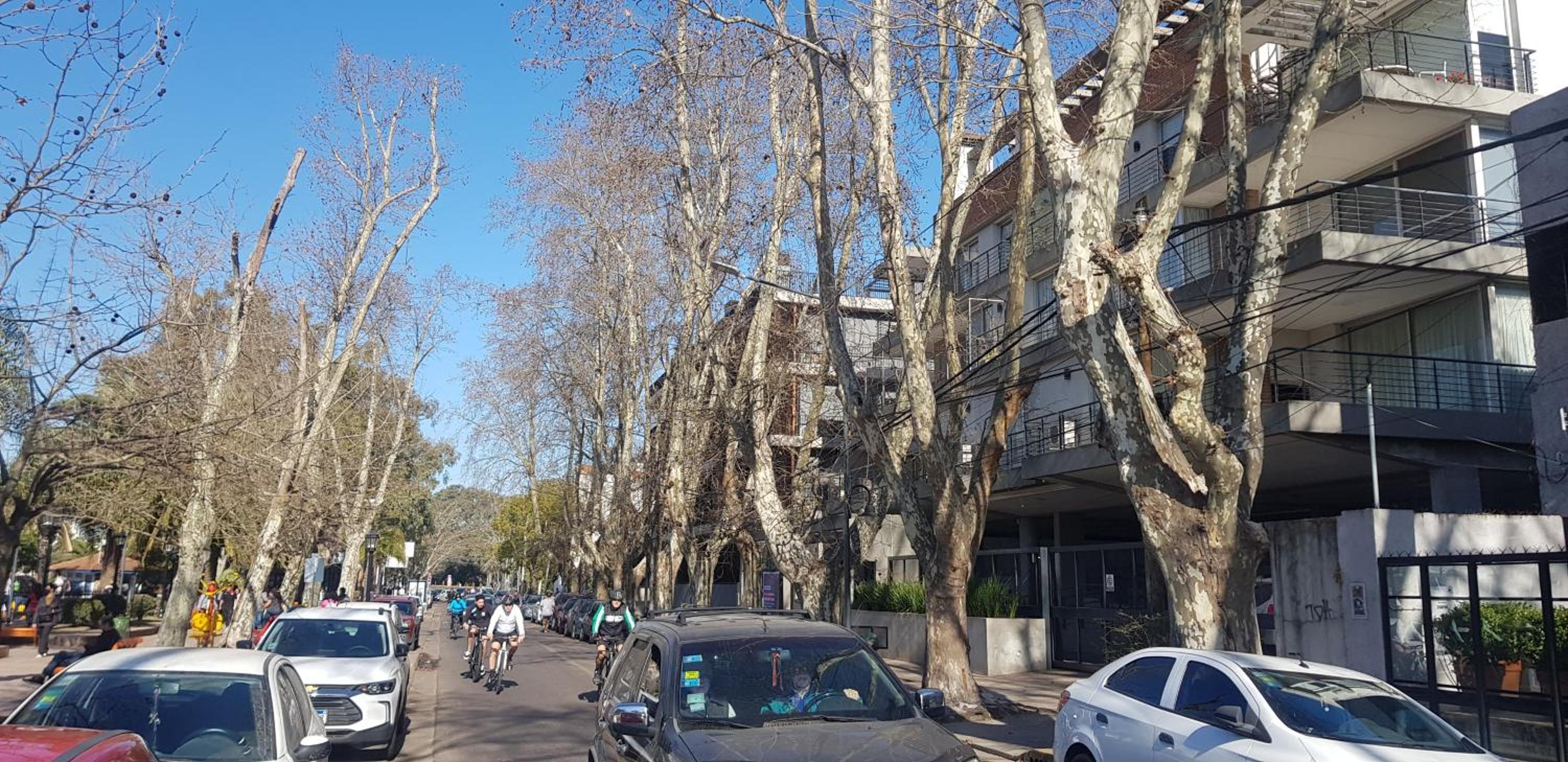 Tigre Studio Apartment