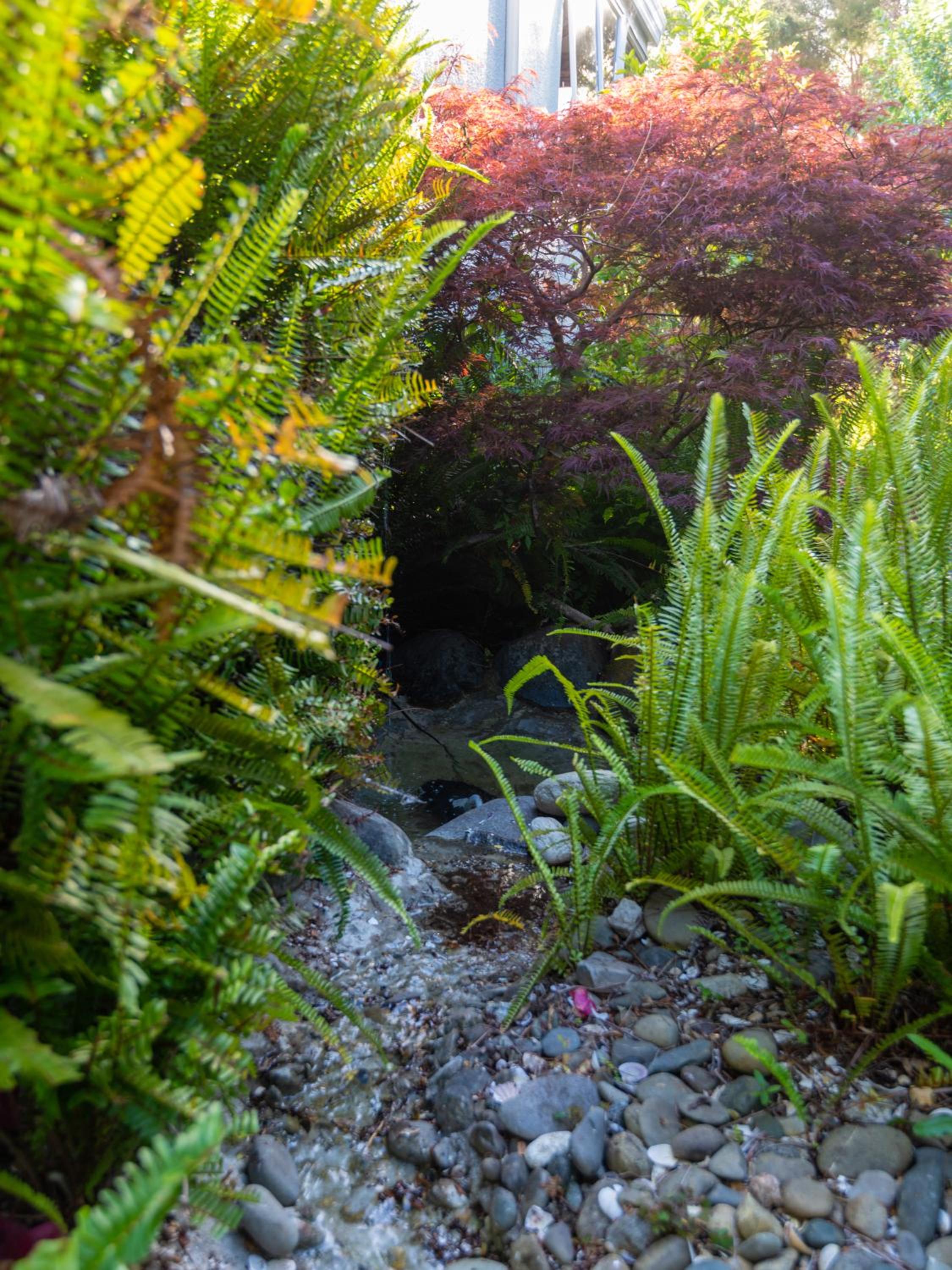 Photo 48
