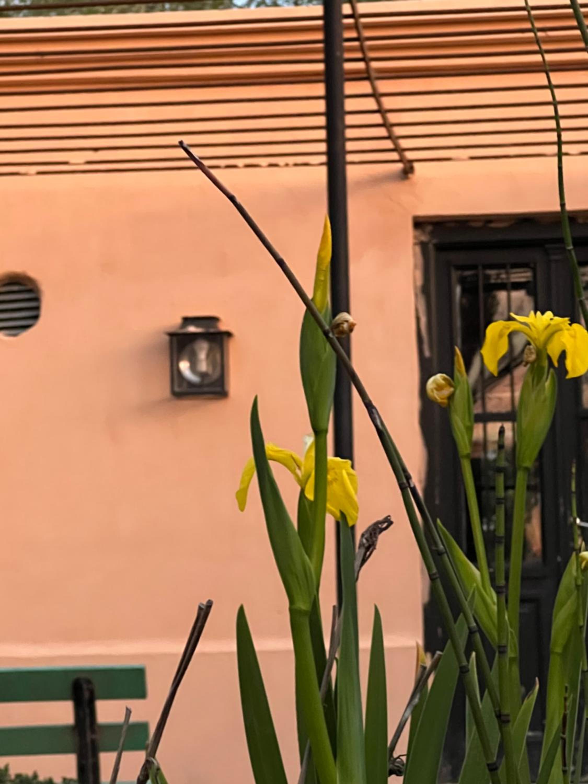 La Florida