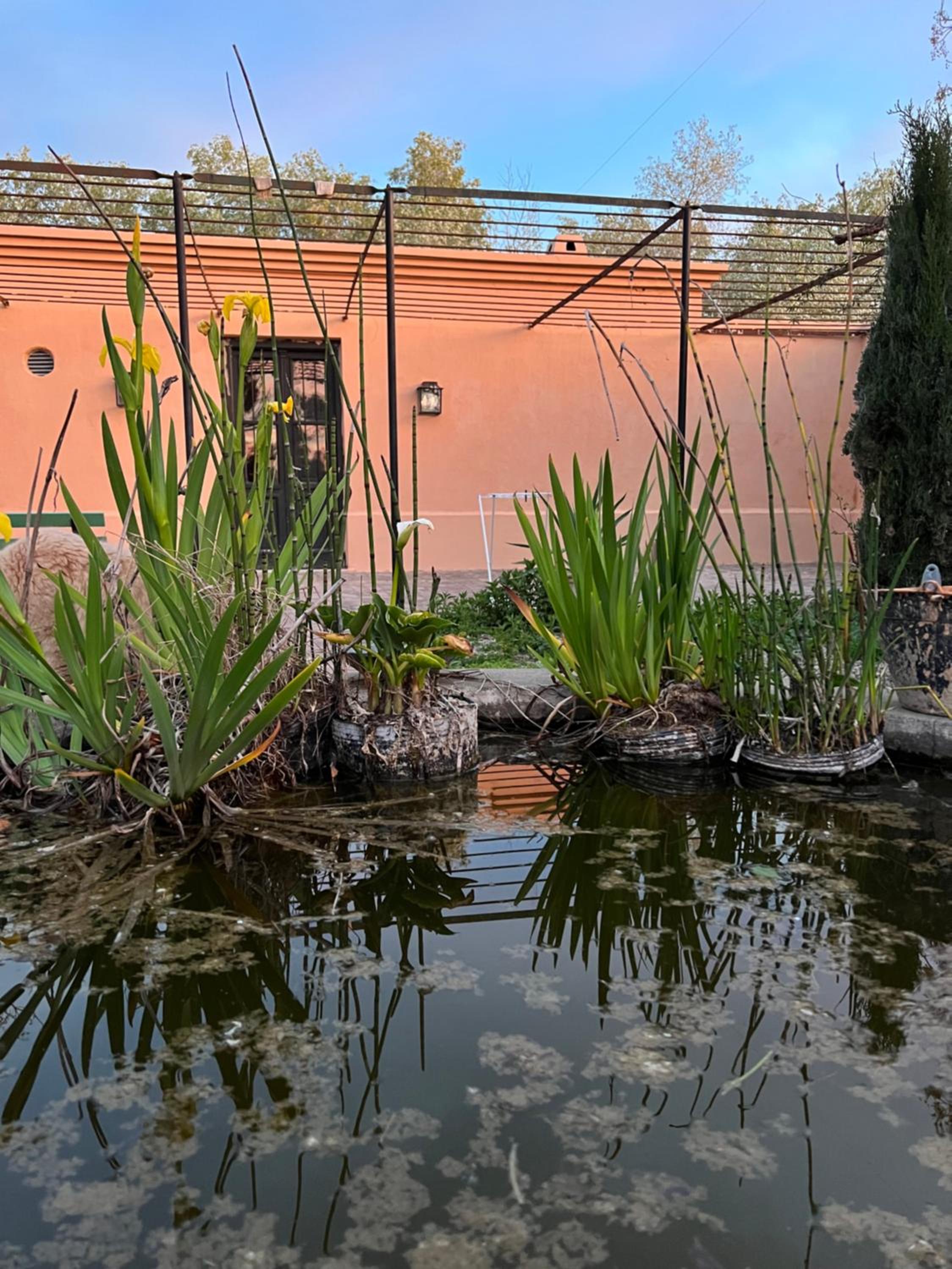 La Florida