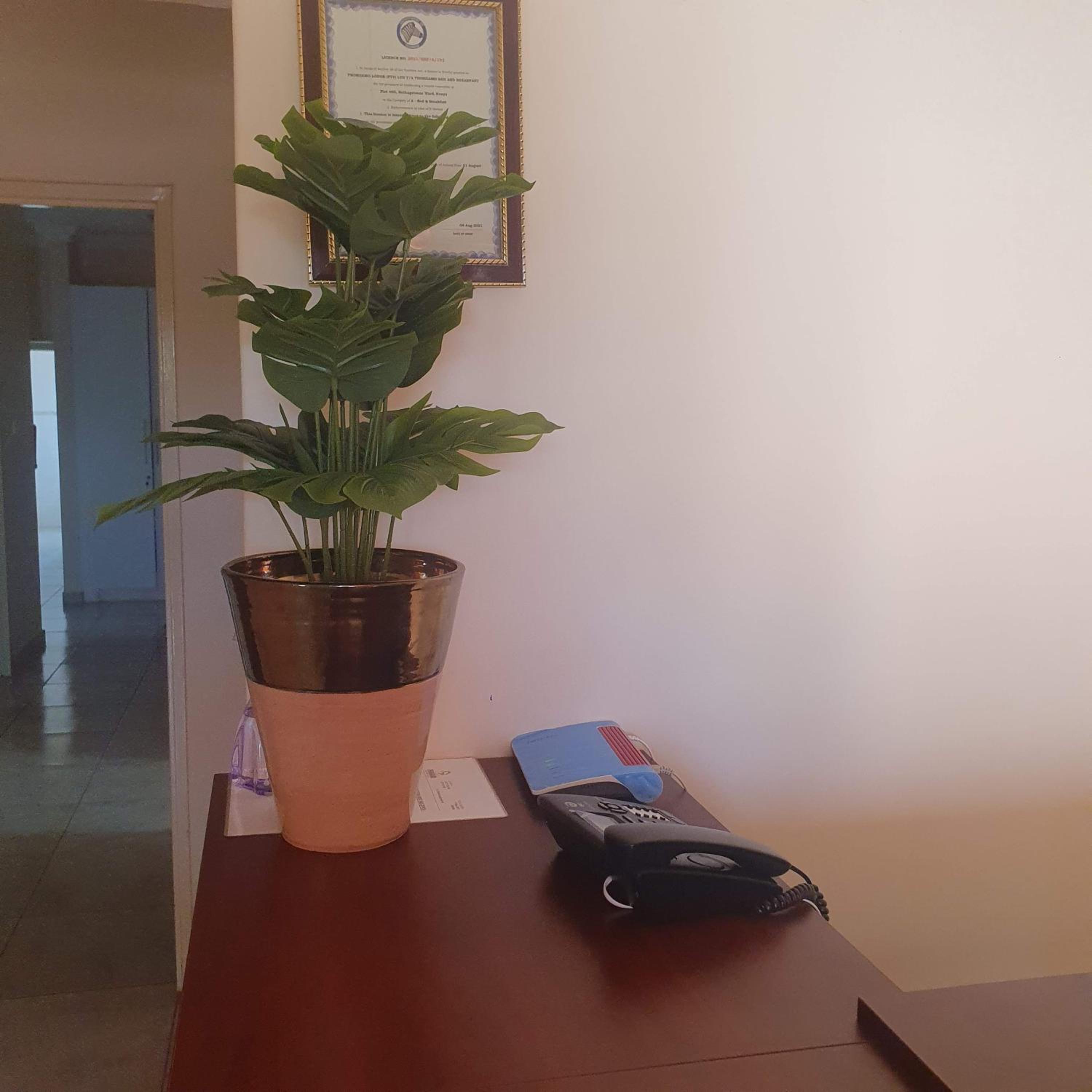 Thokgamo Bed and Breakfast