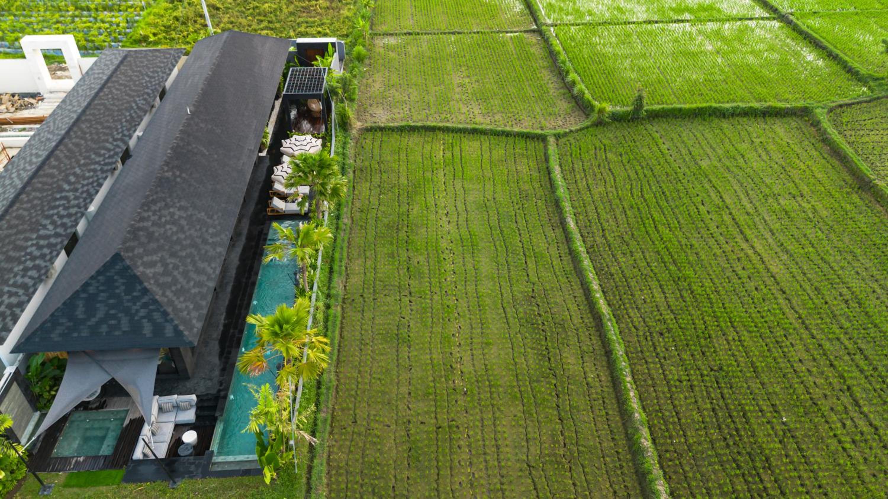 Villa Black Pearl by BaliSuperHost view 2