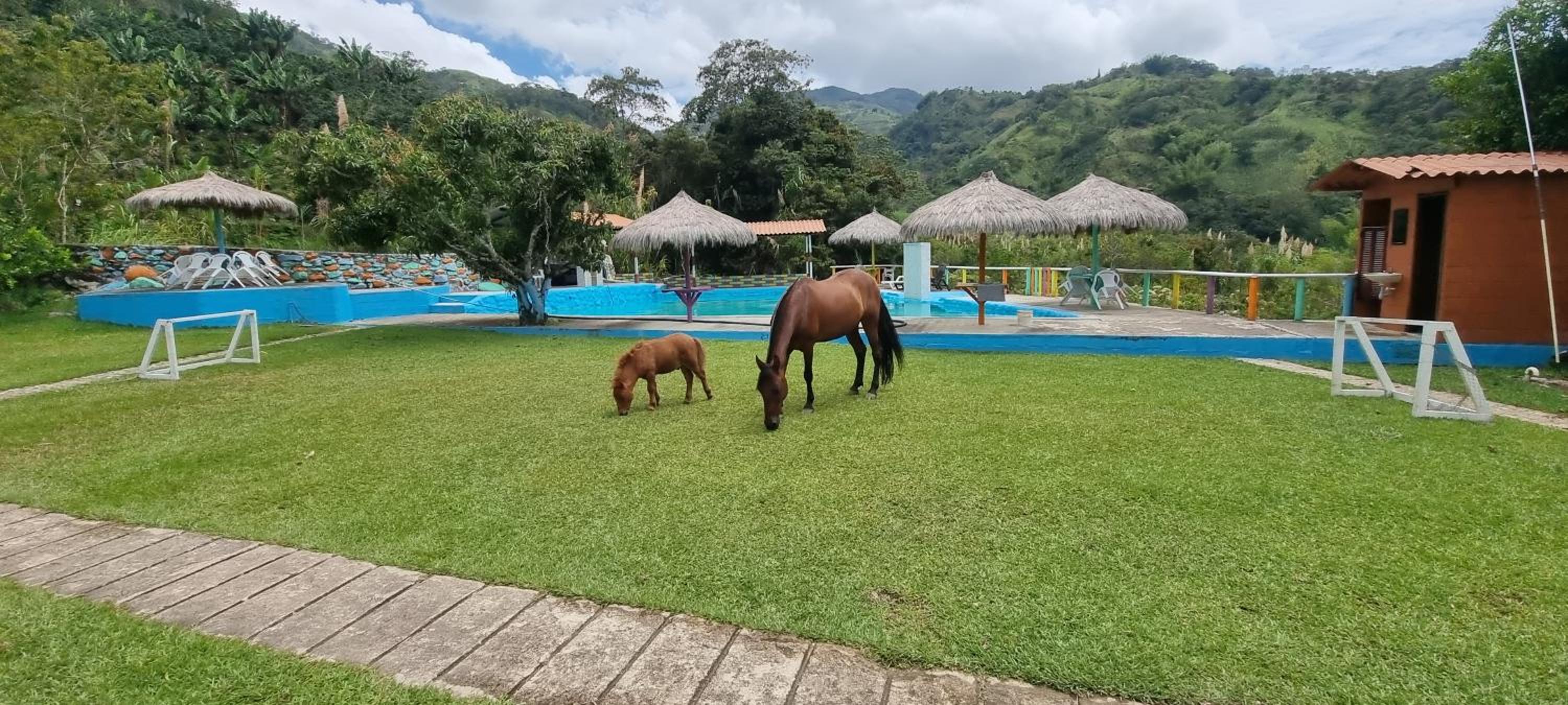 Cabaña rodeada de naturaleza