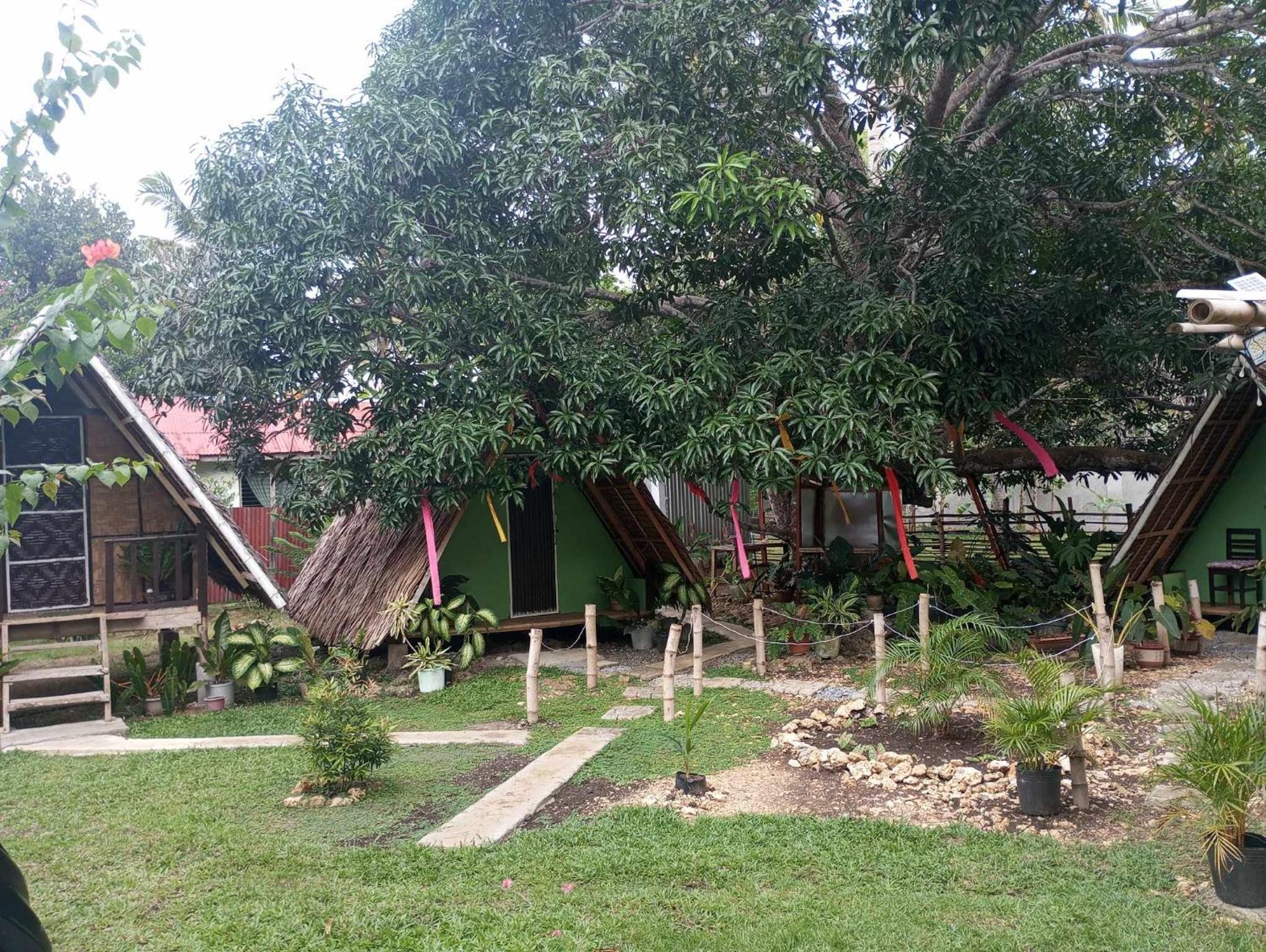 Photo 6