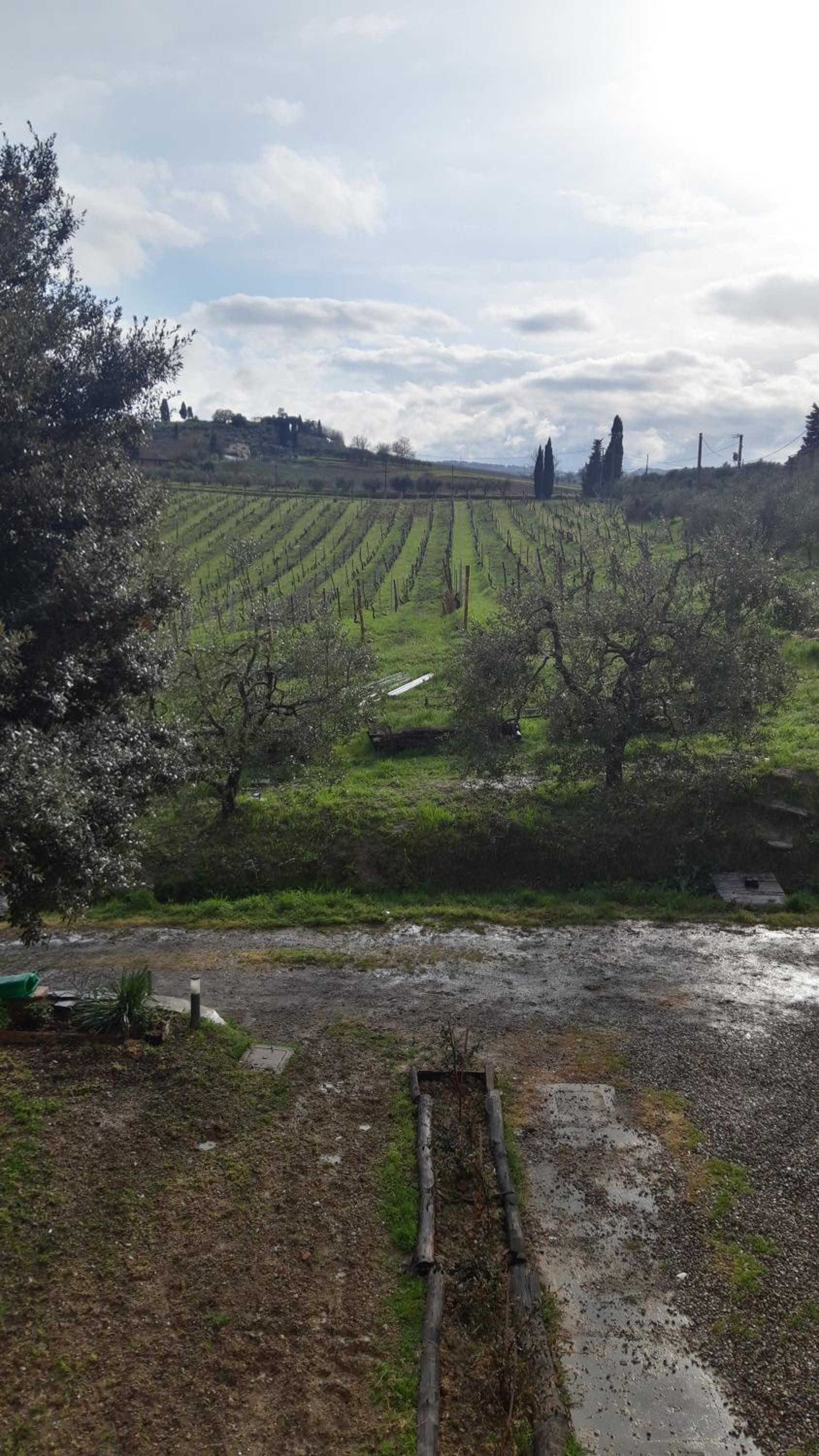 Agriturismo Fattoria le caprine