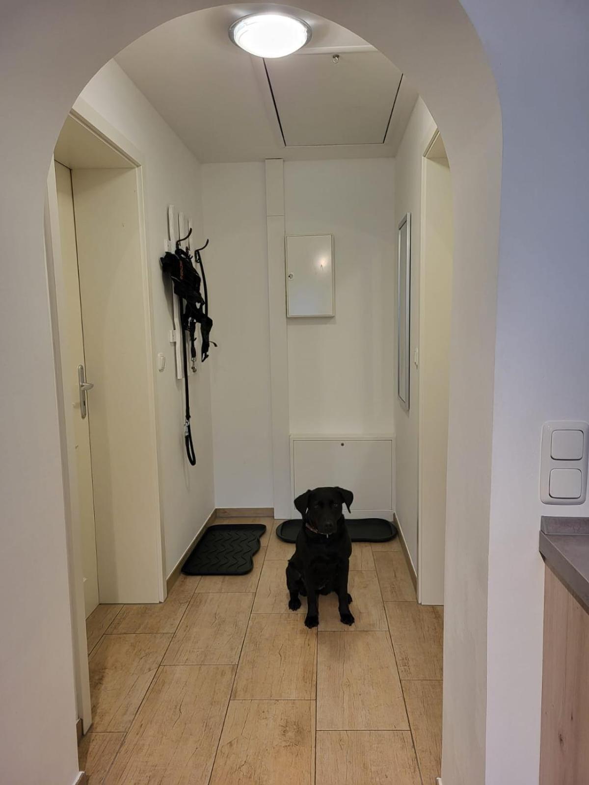 Lanckensburg - Ferienwohnung 1