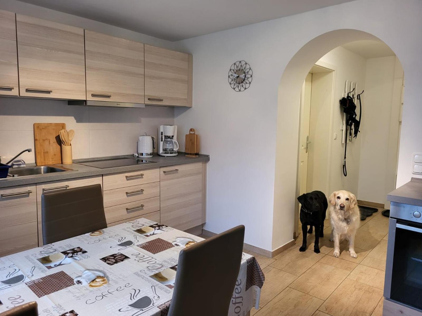 Lanckensburg - Ferienwohnung 1