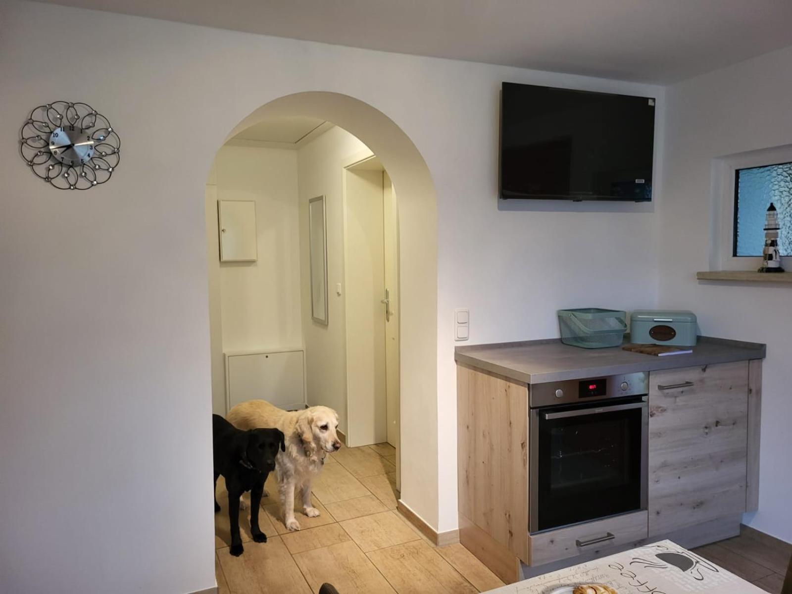 Lanckensburg - Ferienwohnung 1