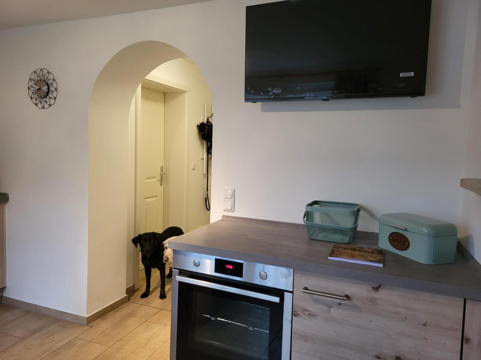 Lanckensburg - Ferienwohnung 1