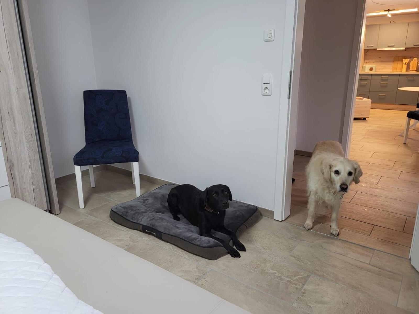 Lanckensburg - Ferienwohnung 2