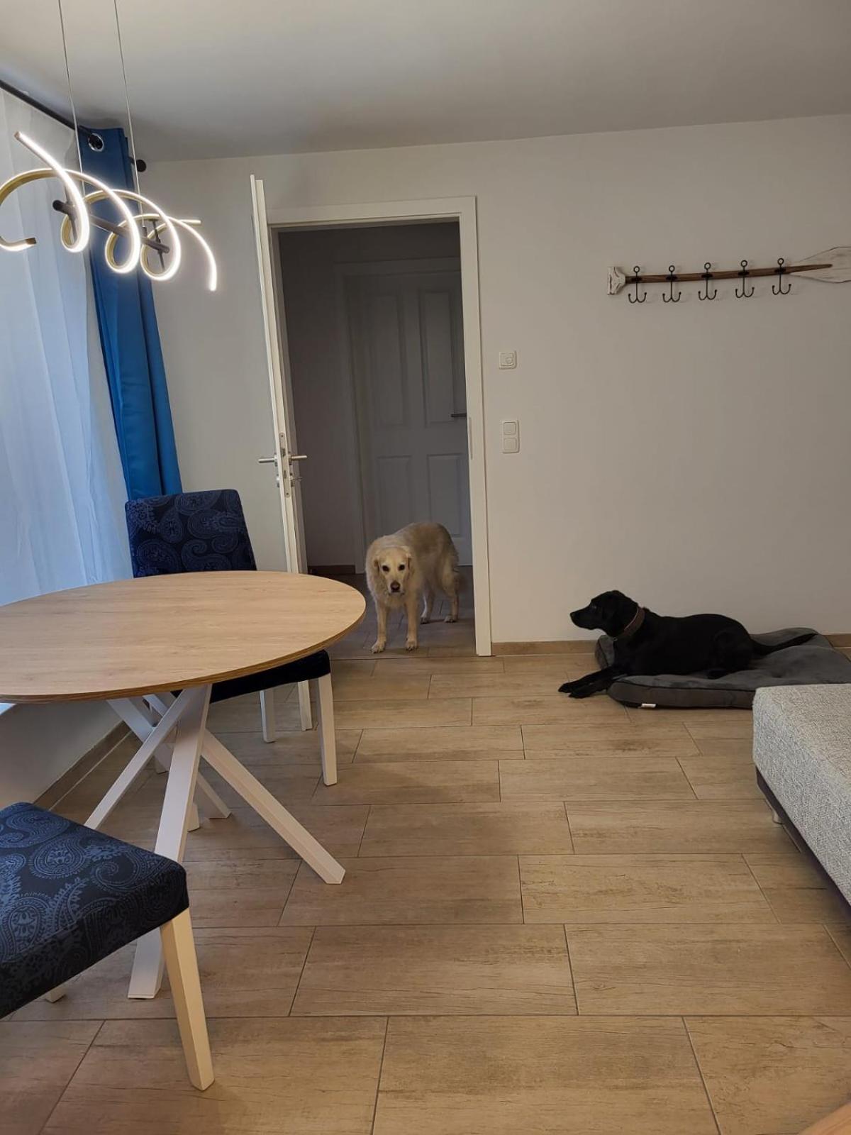 Lanckensburg - Ferienwohnung 2